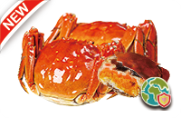 阳澄湖大闸蟹6只装 3.5~4.5两/只（11/30止）